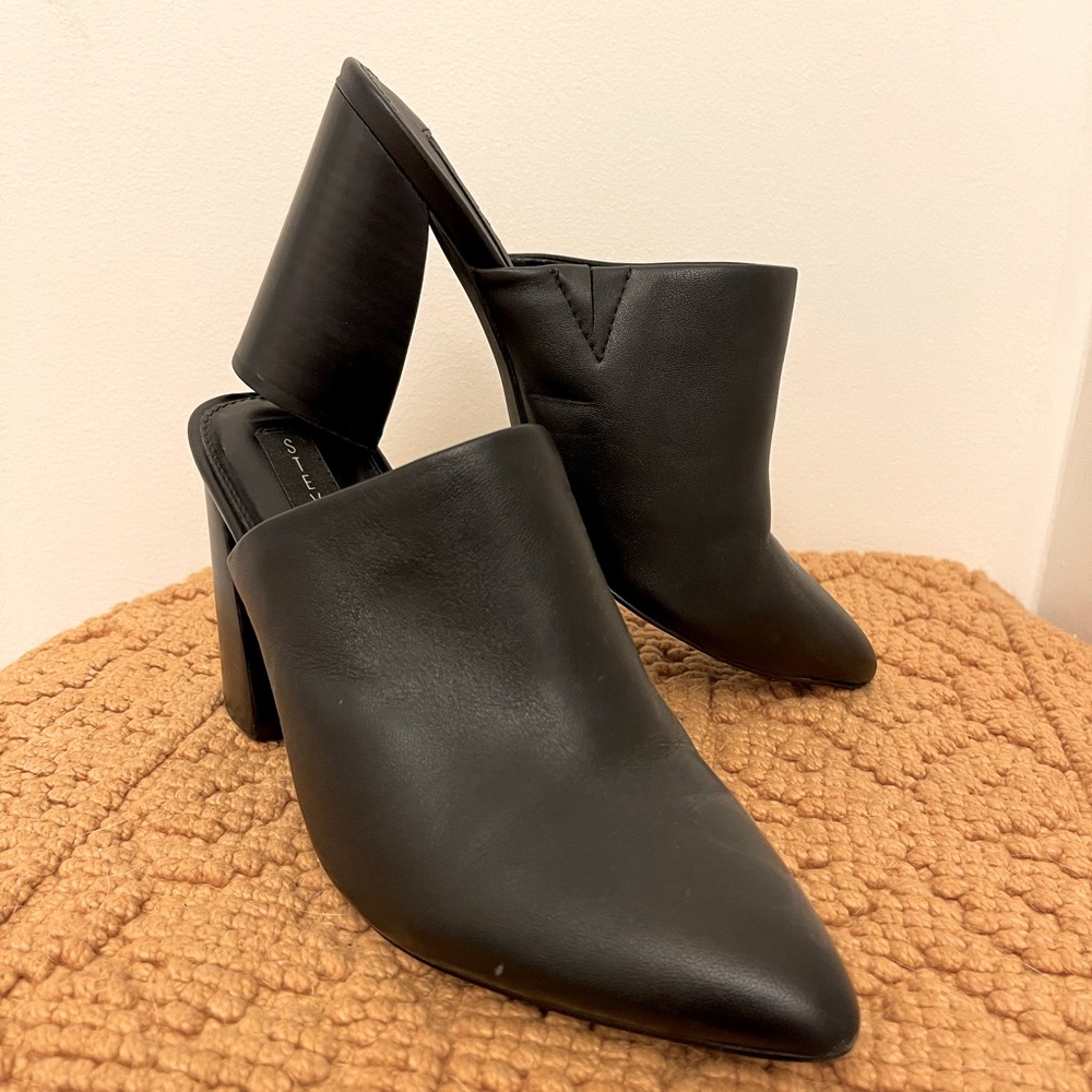 Steve Madden Mule